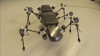 Multiple uses for Hector the stick insect robot Multiple uses for Hector the stick insect robot