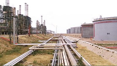 Oil price to hold around $55 a barrel this year says IEA Oil price to hold around $55 a barrel this year says IEA