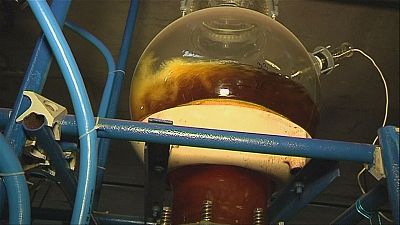 Biodiesel not a dirty word say Czech boffins getting the go from goo Biodiesel not a dirty word say Czech boffins getting the go from goo