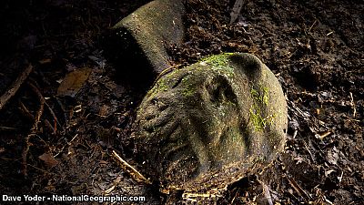 “Monkey God” city find could reveal new central American civilisation “Monkey God” city find could reveal new central American civilisation