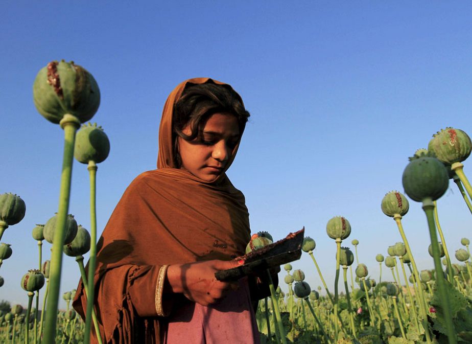 L'Afghanistan et ses champs de pavot