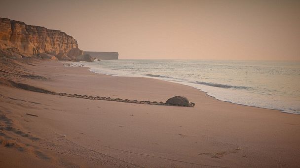 Umman'a bir de deniz altından bakın