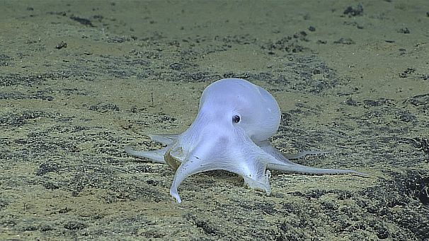 606x341_326314.jpg