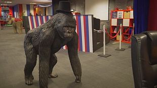 Mad circus design brings fun twist to office life