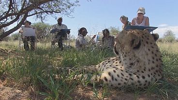 Capturing wildlife on Art Safari