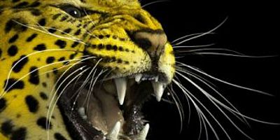 Rendez-vous: The best of arts, culture and entertainment in Europe