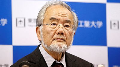 Nobel Tıp Ödülü'ne Japon Yoshinori Ohsumi layık görüldü