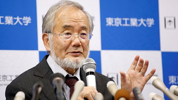 Bu yılın ilk Nobel ödülü Japon bilim adamı Yoshinori Ohsumi'nin oldu