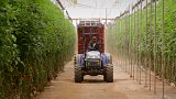 Marrocos lança iniciativa de ajuda aos agricultores africanos