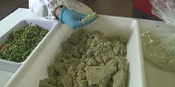 Takeaway: Zero waste from green waste