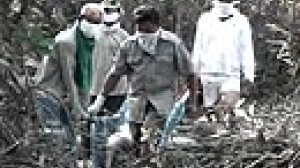 Indonesian death toll dramatically increases