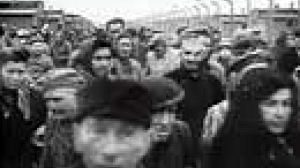 Témoignage : “j’ai participé à la libération d’Auschwitz”