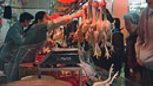 Alerte à la grippe aviaire en Chine
