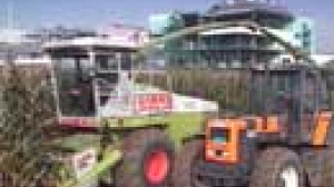 GMO Maize 1507 safe to plant – agency