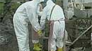 Fears over bird flu as Kazakhstan confirms deadly strain