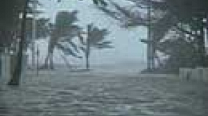 Hurricane Rita gathers pace, heads towards Texas