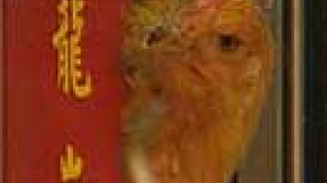Bird Flu threat spreads