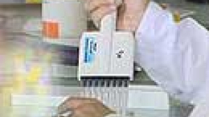 Race to beat H5N1 virus