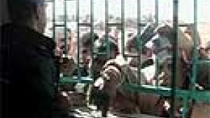 Palestinians cross re-opened border