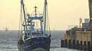 Des quotas de pêche indulgents pour les marins européens l’année prochaine