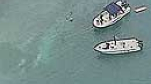 Miami seaplane crash kills 19