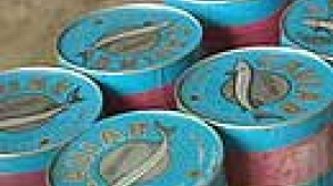 Interdiction des exportations de caviar pour sauver l’esturgeon de l’extinction