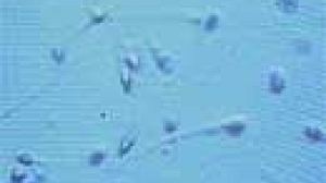 Le premier test de fertilité pour homme mis en vente en Grande-Bretagne