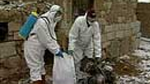 Bird flu panic grows in Turkey