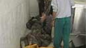 Haditha, novembre 2005, chronique d’une bavure annoncée