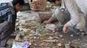 Suicide bomber strikes sacred shrine