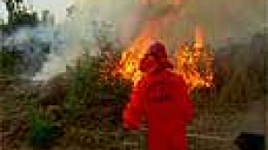 Spain PM vows forest fire aid