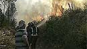 Forest fire alert eases in Spain