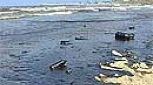 La marée noire au Liban est déjà comparable à celle du naufrage de l’Erika en France en 1999