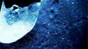 ESA’s lunar probe makes a big impact