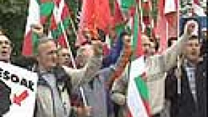 Rallies for and against the EU Parliament vote