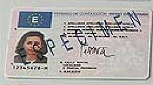 Common driving licence a step closer in EU