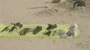 170 arrested by Saudis in al-Qaeda crackdown