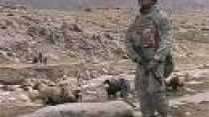 Foreign-led forces kill 25 civilians in Afghan air strike