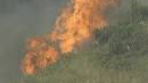 Thousands evacuated as Canary Islands fire spreads