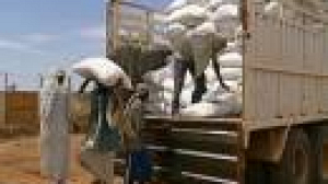 Military force may solve Darfur’s problems