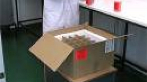No security breach says UK foot and mouth lab