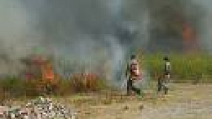 Forest blaze reaches Dubrovnik homes
