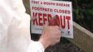 Fourth UK farm tested for foot-and-mouth