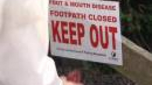 Possible new outbreak of foot-and-mouth in the UK