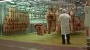 Praise for UK authorities as EU lifts meat export ban