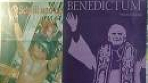 Pope faces criticism in Austria