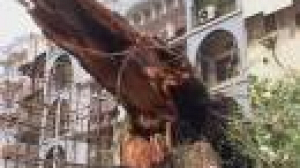 More than 500 killed in Bangladesh cyclone