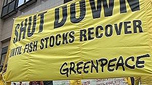 Greenpeace bricks block EU fish talks