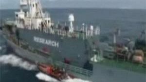 Deux militants contre la pêche à la baleine séquestrés sur un navire japonais
