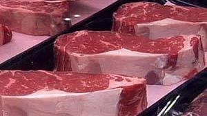 Ethically against cloning animals for food